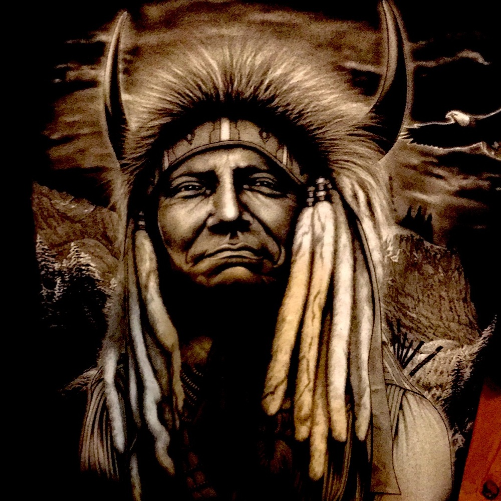Indian chief nwt rock eagle - alive Chief !!!  Eyes!
